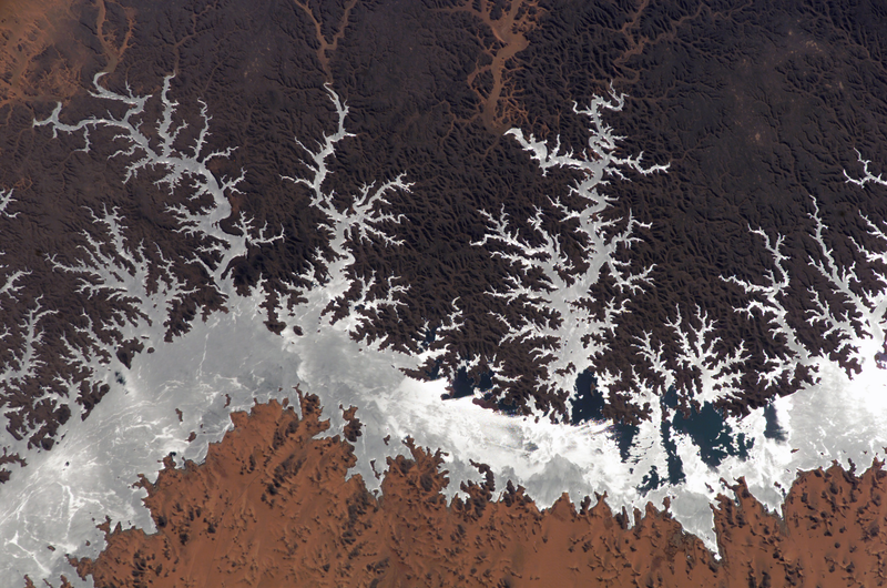 Illustration for article titled Incredible Photographs of Fractals Found in the Natural World